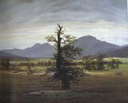 Caspar David Friedrich Landscape with Solitary Tree (mk10) oil painting picture wholesale